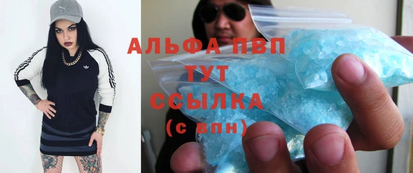 скорость Ладушкин