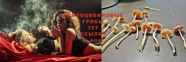 стаф Лагань
