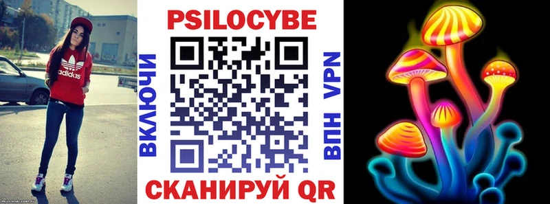 Псилоцибиновые грибы Psilocybine cubensis  Купить закладки  Лодейное Поле 